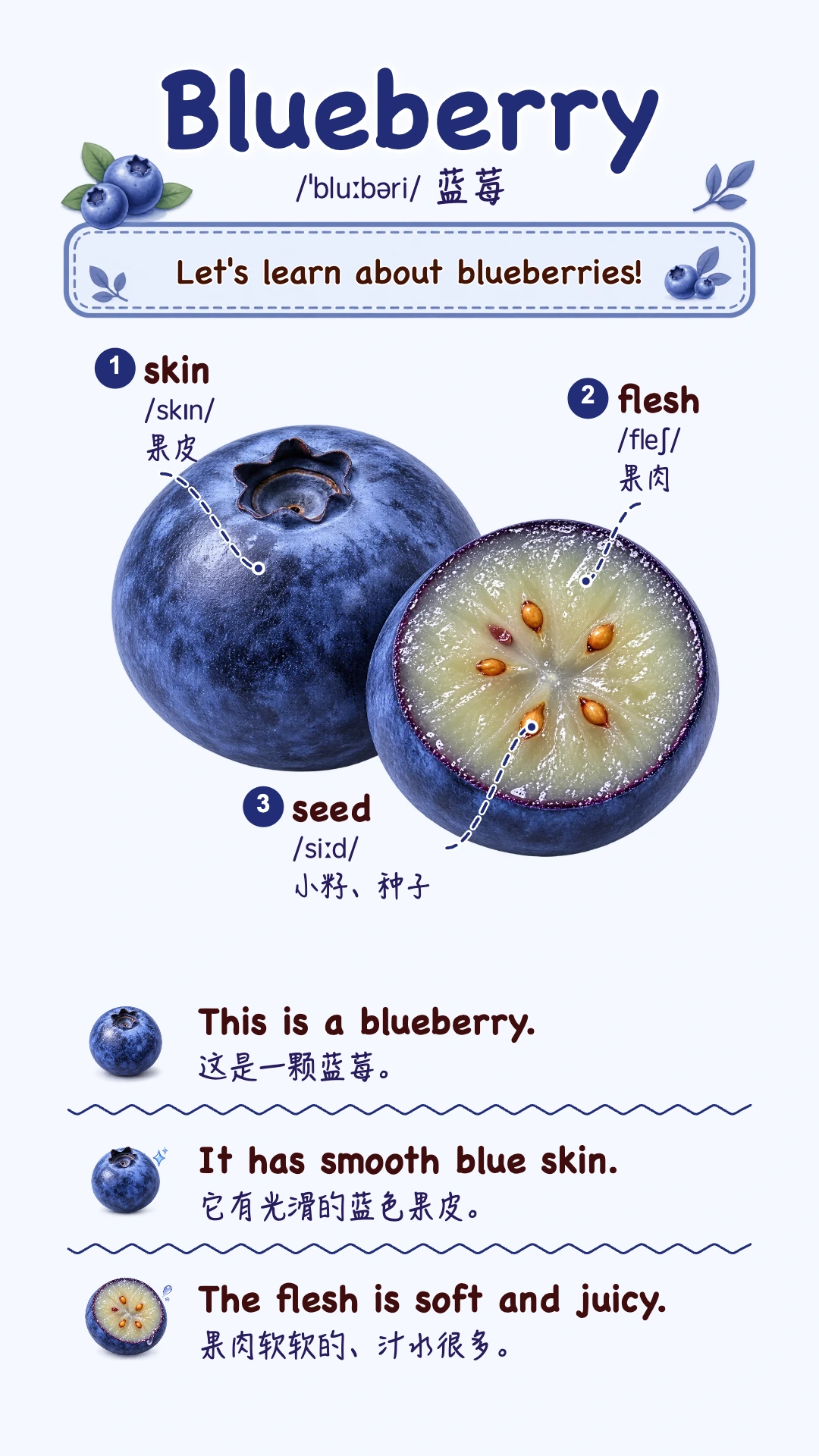 Blueberry