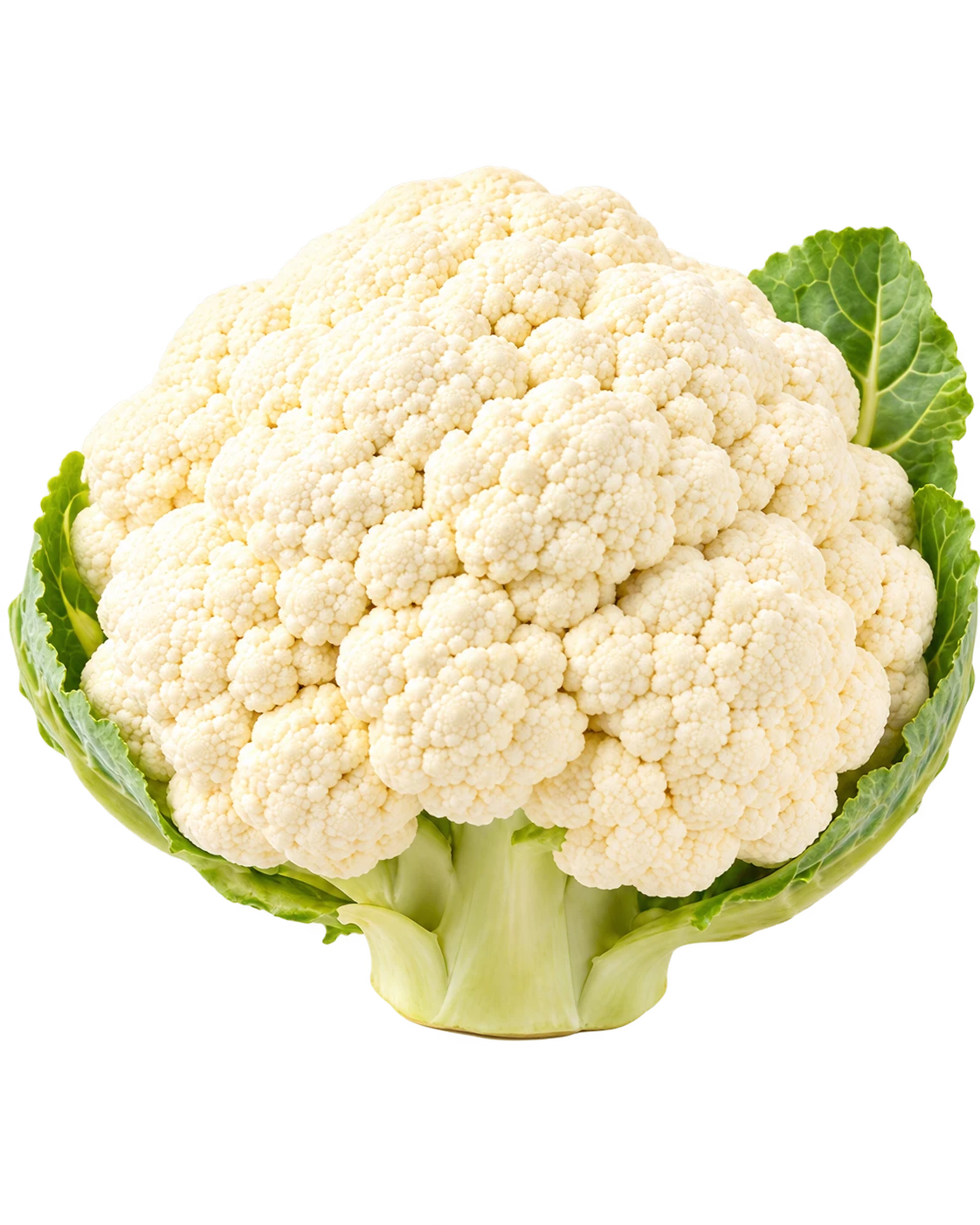 Cauliflower