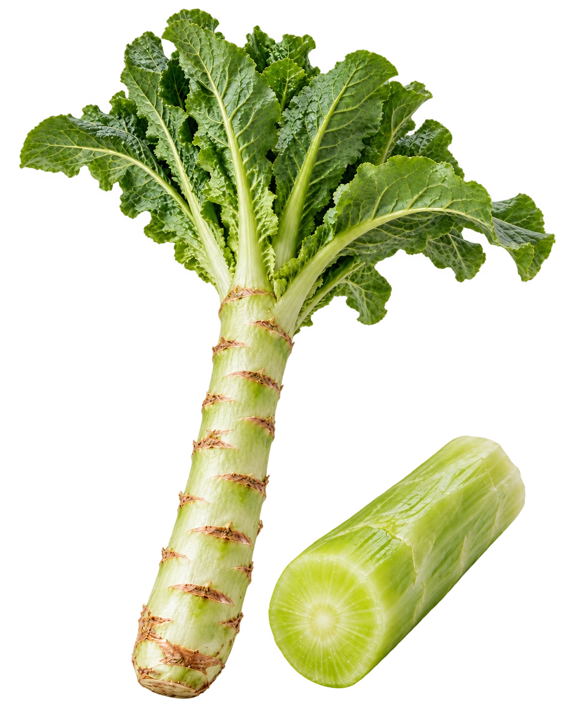 Celtuce