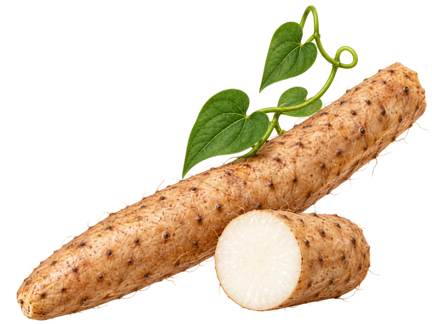 Chinese yam