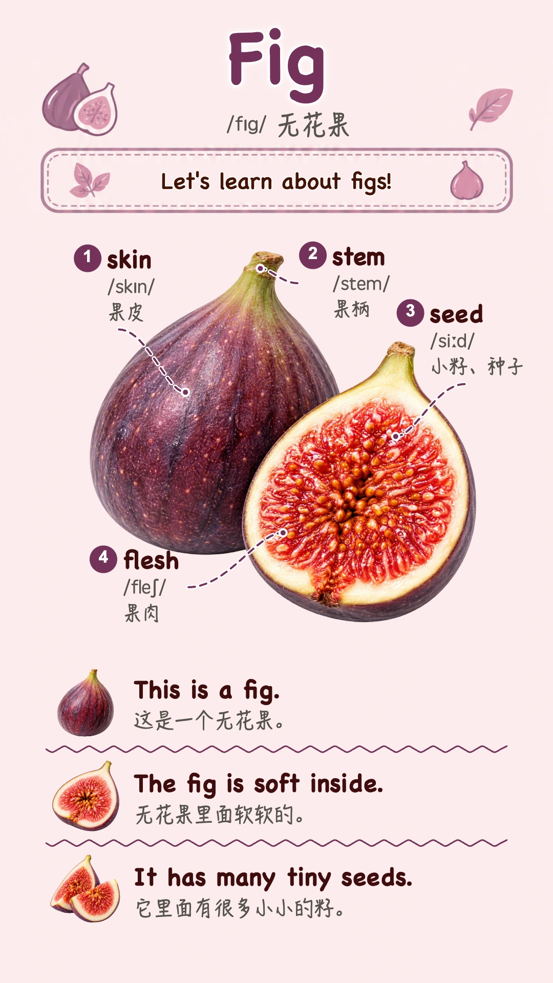 Fig