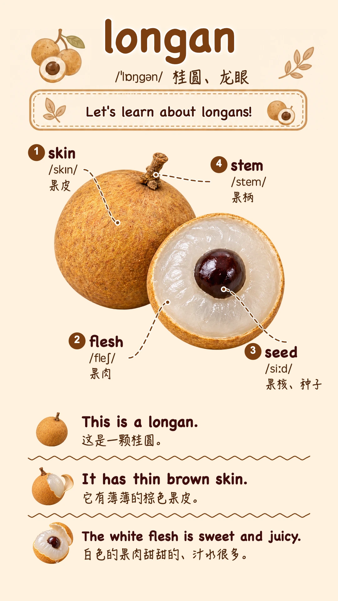 longan