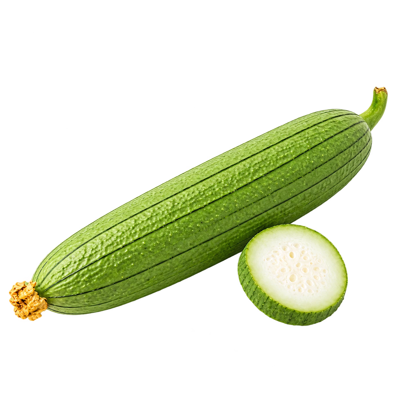 Luffa