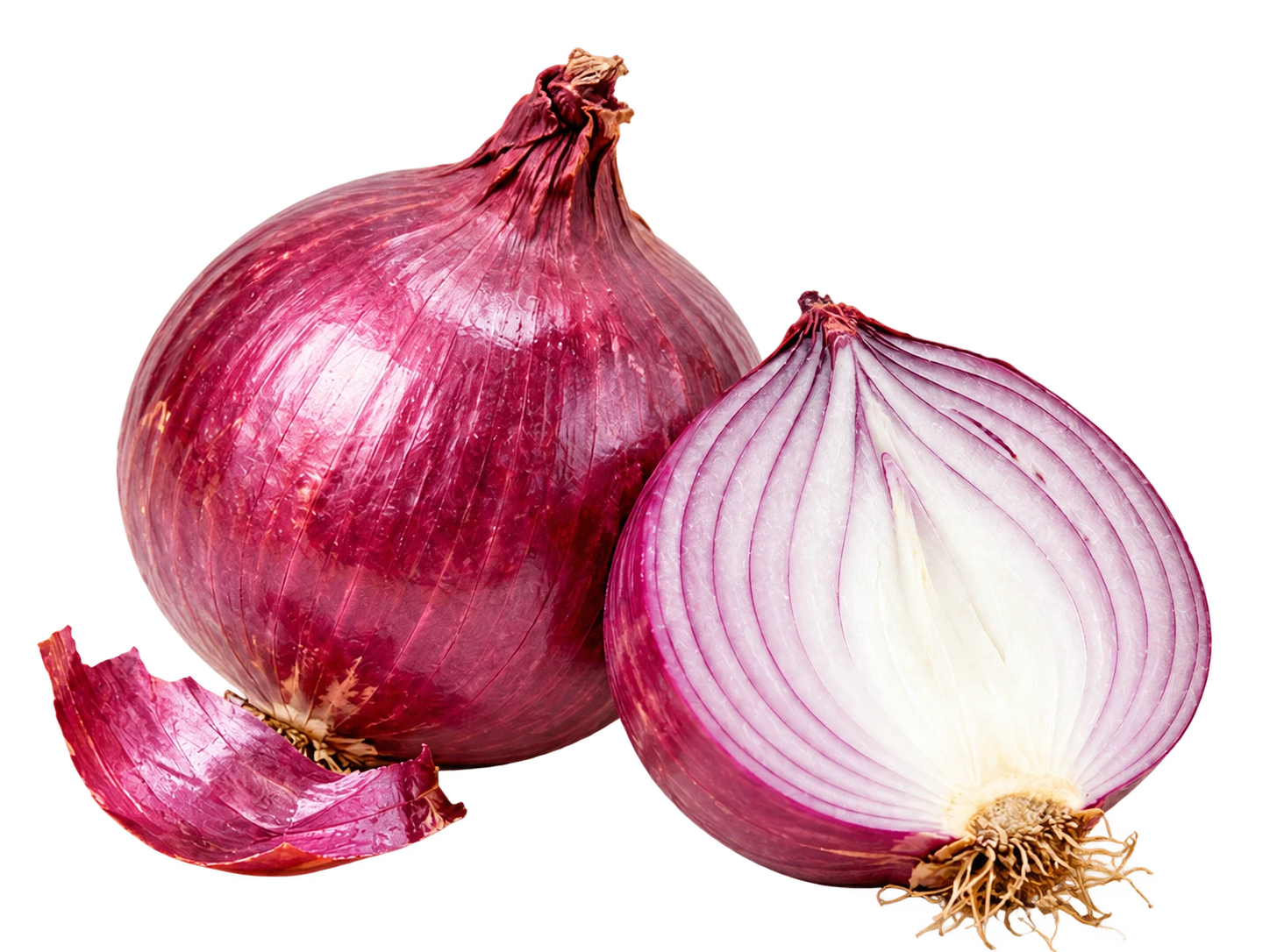 Onion