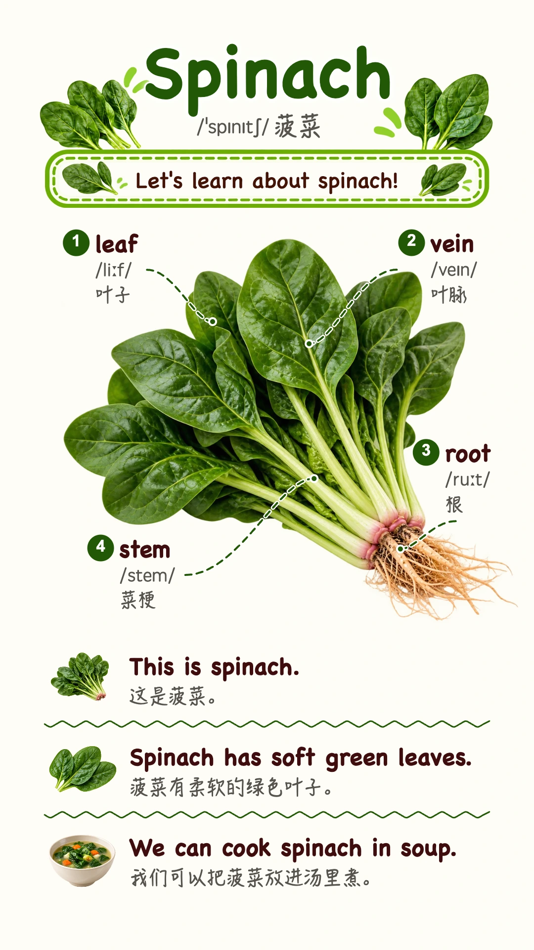 Spinach