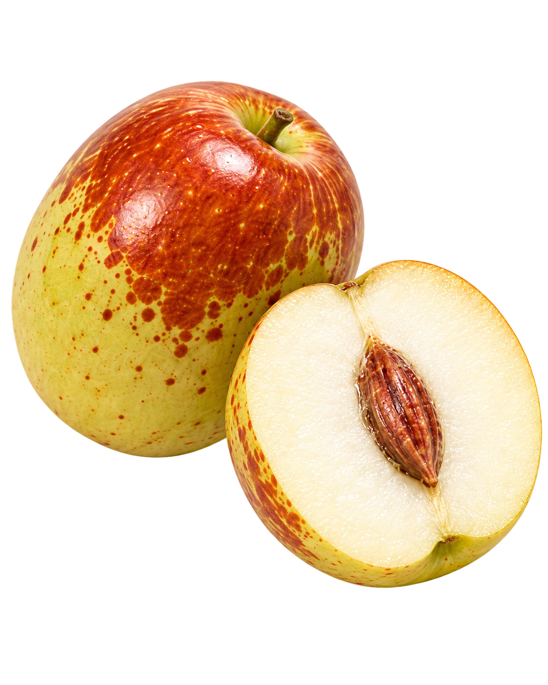 Winter Jujube